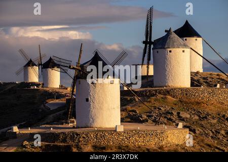 Molinos de Consuegra, Cerro Calderico, Consuegra, provincia de Tolède, Castille la Manche, Espagne. Banque D'Images