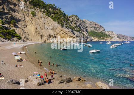 Playa de es Coll Baix, a los pies del Puig de sa Talaia, Alcudia, Mallorca, Espagne. Banque D'Images