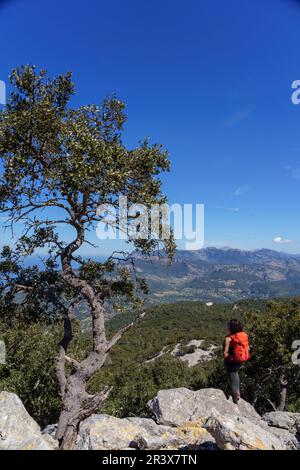 Femme avec sac à dos bénéficiant de la vue sur les montagnes tramuntana et l'ermitage de Maristela, son Ferra, Esporles, Iles Baléares, Espagne. Banque D'Images