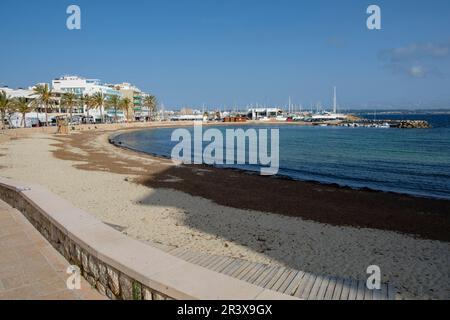 Cala Estància, Palma, Majorque, îles Baléares, Espagne, Europe. Banque D'Images