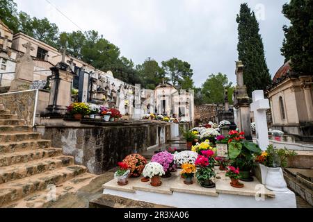 Cimetière municipal de Genova, Majorque, Iles Baléares, Espagne. Banque D'Images