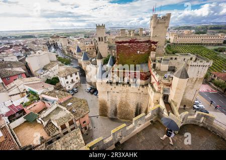 Castillo Palacio de Olite,Comunidad Foral de Navarra, Espagne. Banque D'Images