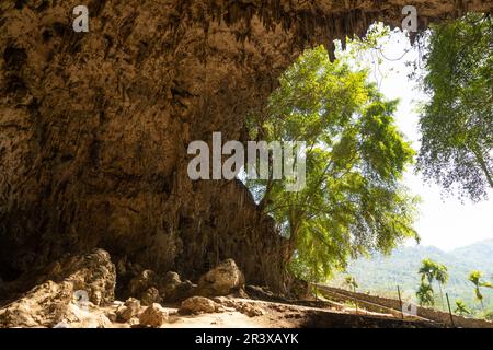 Grotte de Hobbit ou grotte de Liang Bua, ou grotte de rats, sur l'île de Flores, Nusa Tenggara Ouest, Indonésie Banque D'Images