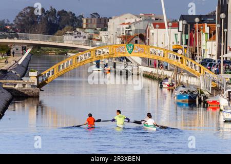 Piraguistas, Puente de Carcavelos dos ,mediados del siglo XX, point de uníón entre la salinas y los antiguos almacenes de sal , canal de San Roque, Aveiro, Beira Litoral, Portugal, Europa. Banque D'Images