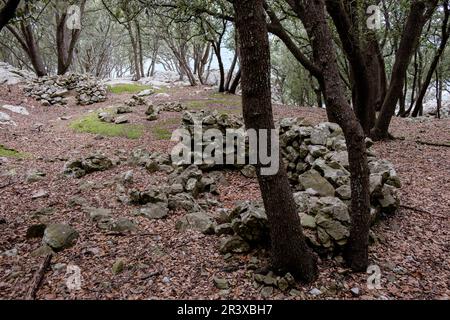 circulo de carbonera, Fita del RAM, esporles, sierra de Tramuntana, Majorque, îles baléares, Espagne. Banque D'Images