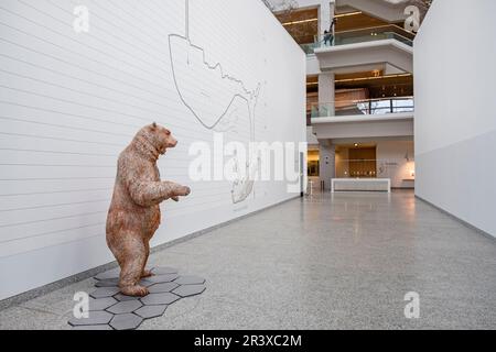 Museo de la evolución humana, MEH, Burgos , Espagne. Banque D'Images