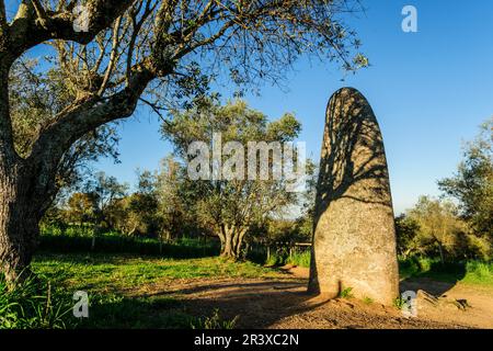 Menhir Dos Almendres,neolitico antiguo, Nossa Senhora de Guadalupe,Valverde, Evora, Portugal, Alentejo, Europa. Banque D'Images