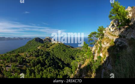 Senda del Puig de sa Talaia, área natural de la Victòria, Alcudia, Majorque, Iles Baléares, Espagne. Banque D'Images