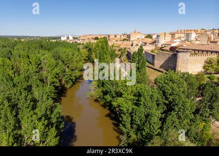 Parque de la Arboleda, Almazán, Soria, Comunidad Autónoma de Castilla y León, Espagne, Europe. Banque D'Images