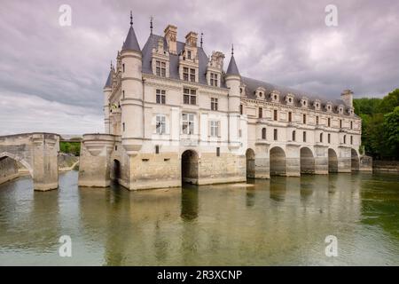 Arcadas del Puente de Diana, le château de Chenonceau, siglo XVI, Chenonceaux, Departamento de Indre y Loira,France,Europe de l'Ouest. Banque D'Images