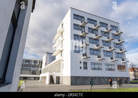 résidences pour étudiants, . bauhaus School, Dessau, République fédérale d'Allemagne. Banque D'Images