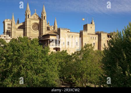 Catedral de Mallorca ,siglo. XIII un siglo.XX .Palma Mallorca..Islas Baleares. L'Espagne. Banque D'Images