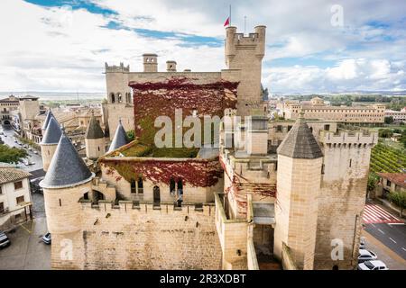 Castillo Palacio de Olite,Comunidad Foral de Navarra, Espagne. Banque D'Images