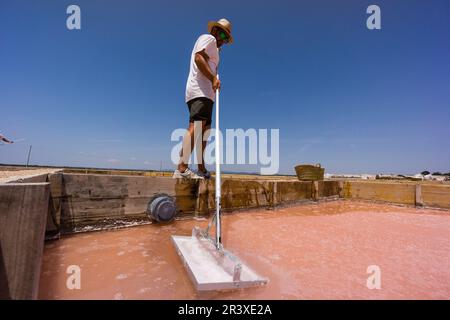 Flor de Sal des Trenc, bassins de chauffage et d'évaporation, Salobrar de Campos, Campos del Puerto, Majorque, Iles Baléares, Espagne, Europe. Banque D'Images