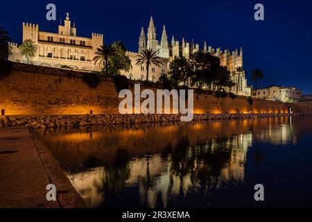 Cathédrale et la Almudaina, Alcazar royal de la ville de Palma de Majorque, Iles Baléares, Espagne. Banque D'Images