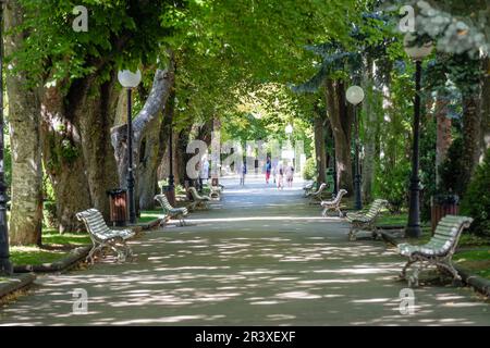 Le parque de la Alameda de Cervantes, La Dehesa, Soria, Comunidad Autónoma de Castilla, l'Espagne, l'Europe. Banque D'Images