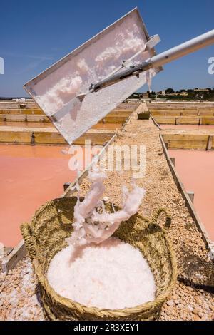 Flor de Sal des Trenc, bassins de chauffage et d'évaporation, Salobrar de Campos, Campos del Puerto, Majorque, Iles Baléares, Espagne, Europe. Banque D'Images