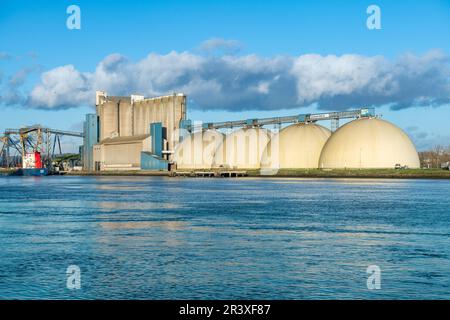 Rouen (nord de la France) : le port fluvial de l'autre côté de la Seine, port HAROPA. Silos : silos à grains de Simarex-Natup sur les rives de la Seine Banque D'Images