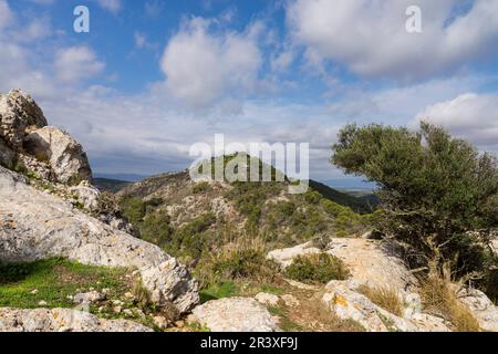 sierra de Galdent, Llucmajor, Majorque, Iles baléares, espagne, europe. Banque D'Images