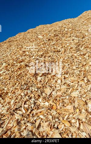 Stockage de copeaux de bois, système de chauffage de la biomasse. Pile de copeaux de bois Banque D'Images