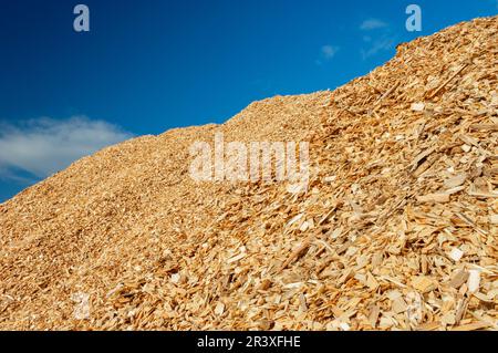 Stockage de copeaux de bois, système de chauffage de la biomasse. Pile de copeaux de bois Banque D'Images