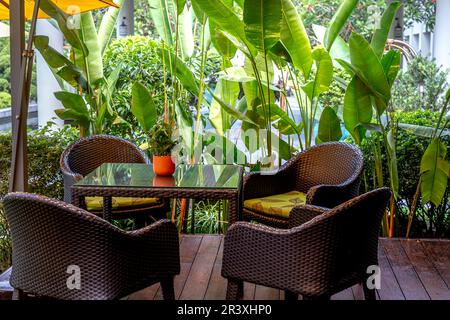 Tables et chaises d'un café extérieur à côté de rangées d'arbres verts Banque D'Images