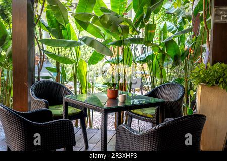 Tables et chaises d'un café extérieur à côté de rangées d'arbres verts Banque D'Images