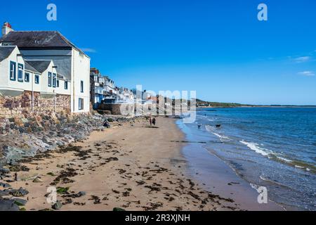 Vue vers le nord le long de la plage de sable dans la ville côtière écossaise de Lower Largo à Fife, Écosse, Royaume-Uni Banque D'Images