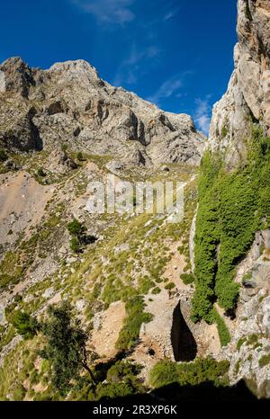 Le coma de n'Arbona, Casas de Nieve o cas de Neu, término municipal de Fornalutx, paraje natural de la Sierra de Tramuntana, à Majorque, îles Baléares, Espagne. Banque D'Images