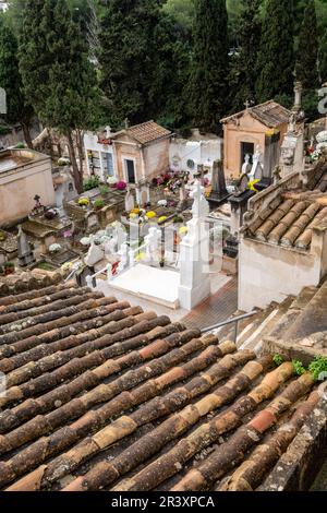 Cimetière municipal de Genova, Majorque, Iles Baléares, Espagne. Banque D'Images