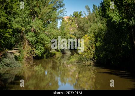 Parque de la Arboleda, Almazán, Soria, Comunidad Autónoma de Castilla y León, Espagne, Europe. Banque D'Images