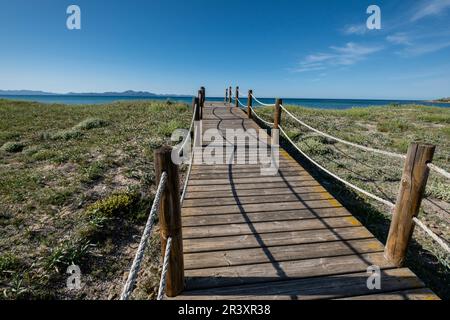 Chemin en bois pour protéger les dunes, Arenal de sa Canova, Artà - Santa Margalida, zone naturelle d'intérêt spécial, Majorque, Iles Baléares, Espagne. Banque D'Images
