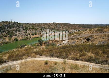 Les sols acides appauvris sans éléments nutritifs dans l'agriculture conduisent à une croissance et à la misère ahurlées Banque D'Images