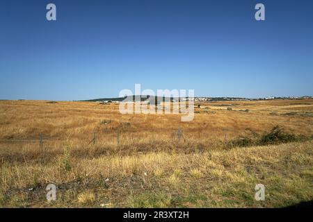 Les sols acides appauvris sans éléments nutritifs dans l'agriculture conduisent à une croissance et à la misère ahurlées Banque D'Images