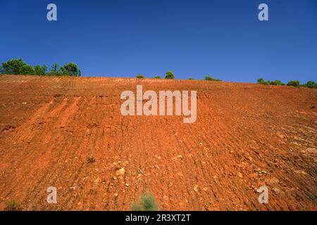 Les sols acides appauvris sans éléments nutritifs dans l'agriculture conduisent à une croissance et à la misère ahurlées Banque D'Images