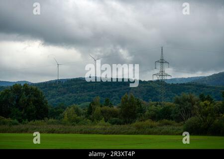 Les sols acides appauvris sans éléments nutritifs dans l'agriculture conduisent à une croissance et à la misère ahurlées Banque D'Images