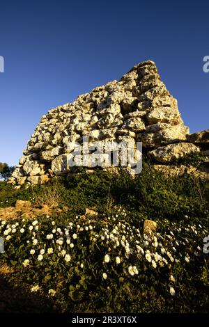 Talaiòtico Poblado de Capocorb Vell (Edad de bronce). Llucmajor.Comarca de Migjorn. Mallorca. Baleares.España. Banque D'Images