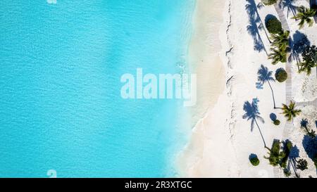 Vue aérienne de haut en bas d'une plage tropicale paradisiaque avec sable fin Banque D'Images