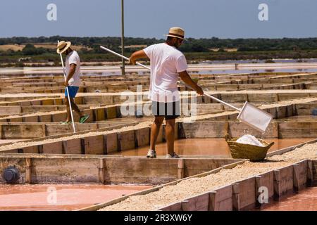 Flor de Sal des Trenc, bassins de chauffage et d'évaporation, Salobrar de Campos, Campos del Puerto, Majorque, Iles Baléares, Espagne, Europe. Banque D'Images