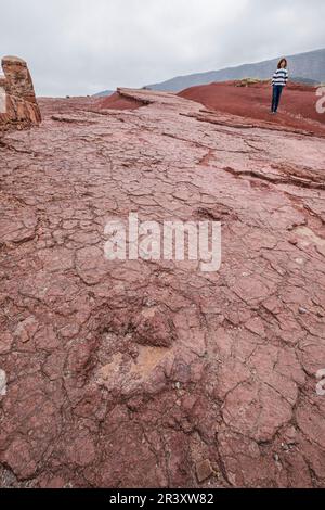 Empreintes de dinosaures, jurassique moyen à haut, parc géographique Iouaridene, Beni Mellal-Khenifra, chaîne de montagnes de l'Atlas, maroc, afrique. Banque D'Images