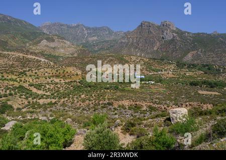 Parc naturel de Talassemtane, Rif Mountains, maroc, afrique. Banque D'Images