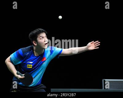 Durban, Afrique du Sud. 25th mai 2023. Fan Zhendong de Chine sert pendant le match des hommes célibataires de 16 contre Qiu Dang de l'Allemagne à la finale des Championnats du monde de tennis de table 2023 de l'ITTF à Durban, Afrique du Sud, 25 mai 2023. Crédit: Li Yahui/Xinhua/Alamy Live News Banque D'Images