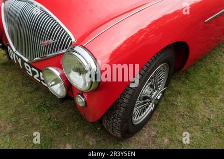 1954 Austin Healey 100/4 M Roadster. Banque D'Images