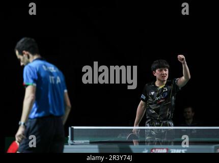 Durban, Afrique du Sud. 25th mai 2023. Harimoto Tomokazu, du Japon, célèbre lors de la manche des hommes de 16 match contre Mihai Bobocica, de l'Italie, lors des finales des Championnats du monde de tennis de table 2023 de l'ITTF à Durban, en Afrique du Sud, en 25 mai 2023. Credit: Han Xu/Xinhua/Alay Live News Banque D'Images