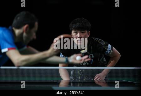 Durban, Afrique du Sud. 25th mai 2023. Harimoto Tomokazu, du Japon, participe au match des hommes célibataires de 16 contre Mihai Bobocica, de l'Italie, aux finales des Championnats du monde de tennis de table 2023 de l'ITTF à Durban, en Afrique du Sud, en 25 mai 2023. Credit: Han Xu/Xinhua/Alay Live News Banque D'Images