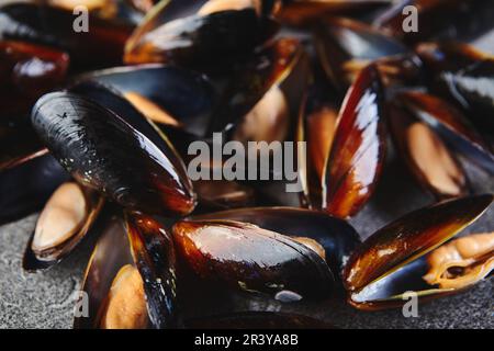 Gros plan de moules fraîches crues de grand groupe sur fond gris Banque D'Images