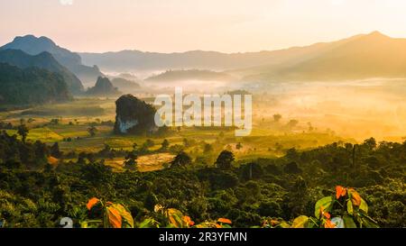 Lever de soleil avec brouillard à Phu Langka dans le nord de la Thaïlande, vue sur la montagne du parc national de Phu Langka Banque D'Images