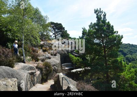 Rock Garden à Hawkstone Park Follies, Shrewsbury, Shropshire, Royaume-Uni Banque D'Images