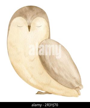 Chouette chouette aquarelle. Illustration dessinée à la main d'un oiseau de bois sur fond blanc isolé pour des cartes de voeux ou des invitations de douche de bébé. Dessin d'animal de forêt pour poster d'enfant dans des couleurs pastel. Banque D'Images