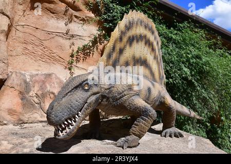 Dimetrodon dans l'exposition sur les dinosaures au West Midlands Safari Park, Bewdley, Worcestershire, Royaume-Uni Banque D'Images